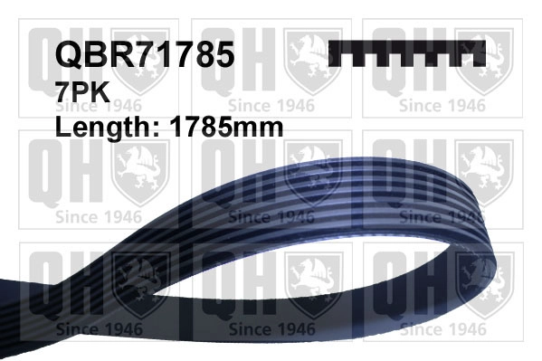 QBR71785