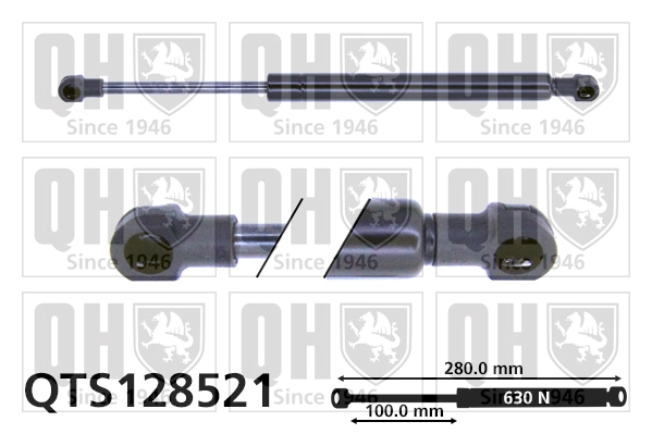 QTS128521