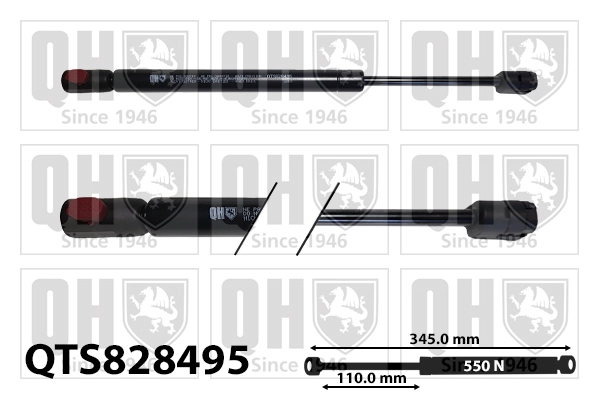 QTS828495