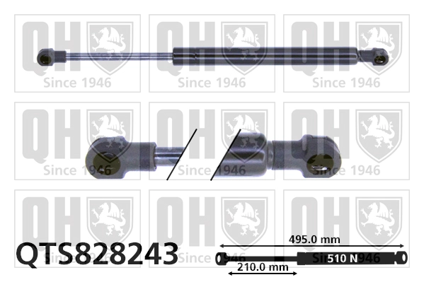 QTS828243
