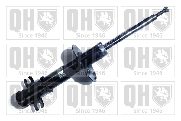 QAG178736