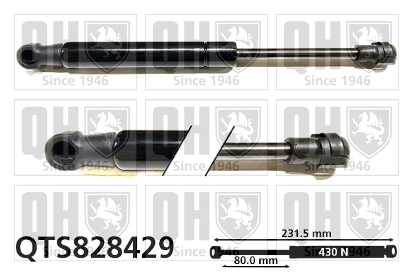 QTS828429
