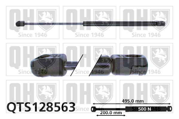 QTS128563