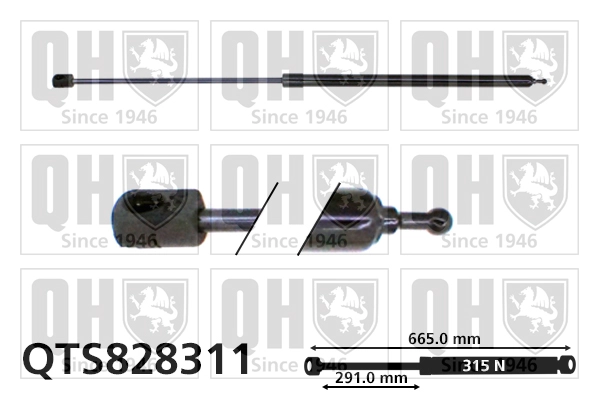 QTS828311
