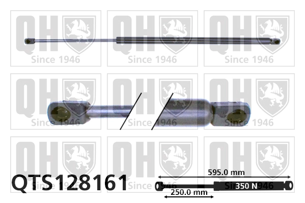 QTS128161