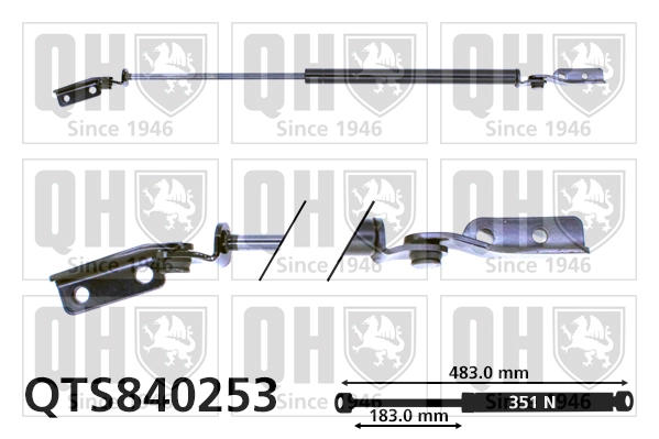 QTS840253