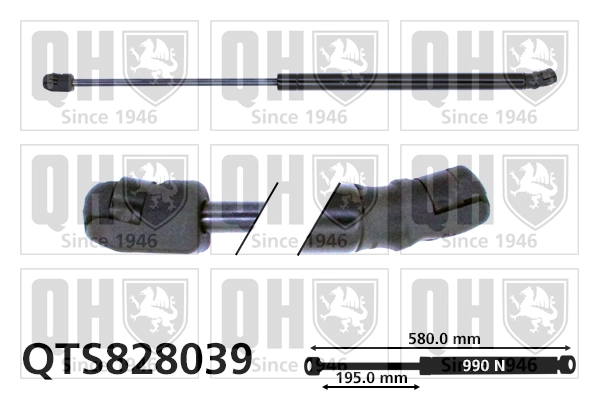QTS828039