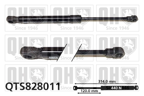 QTS828011