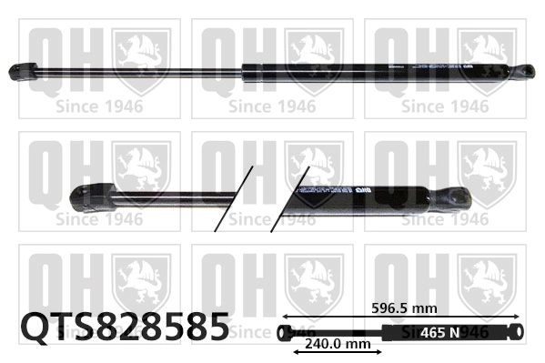 QTS828585