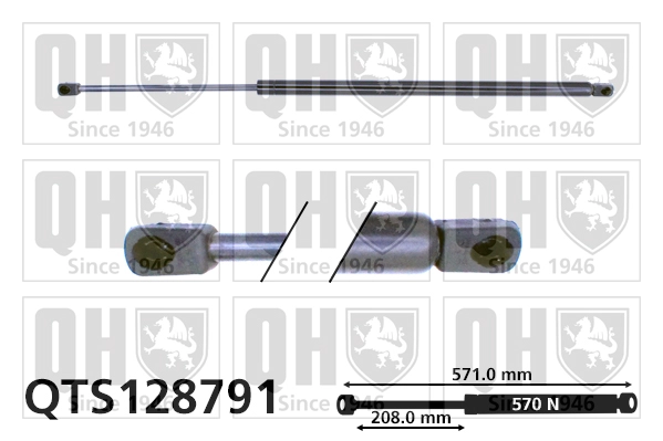QTS128791