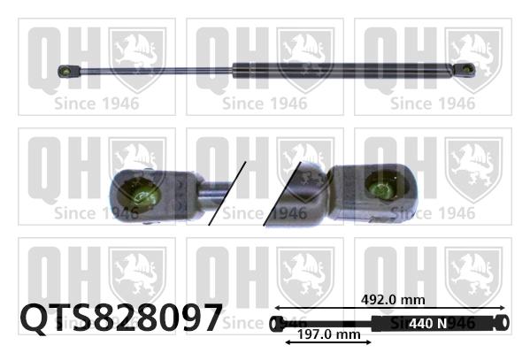 QTS828097