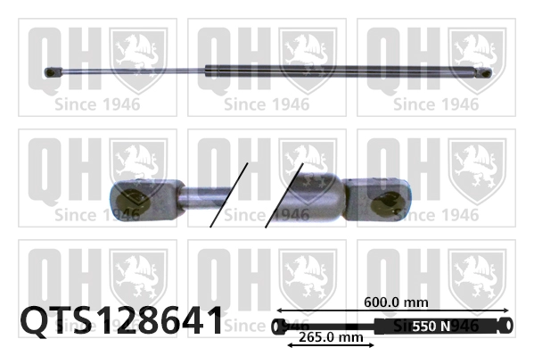 QTS128641