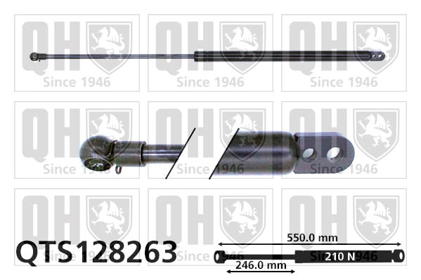 QTS128263