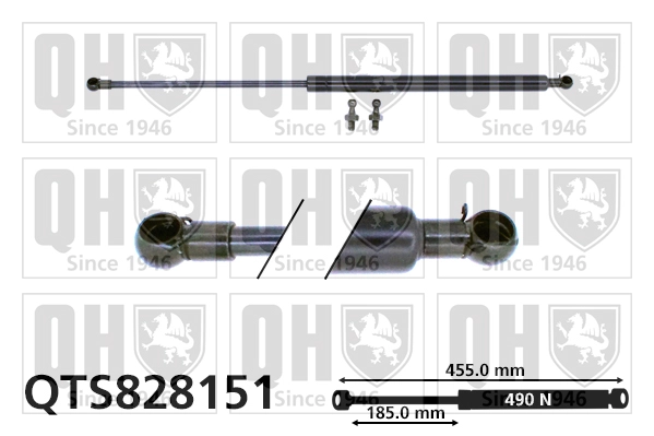 QTS828151