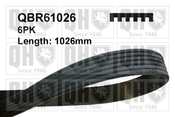 QBR61026