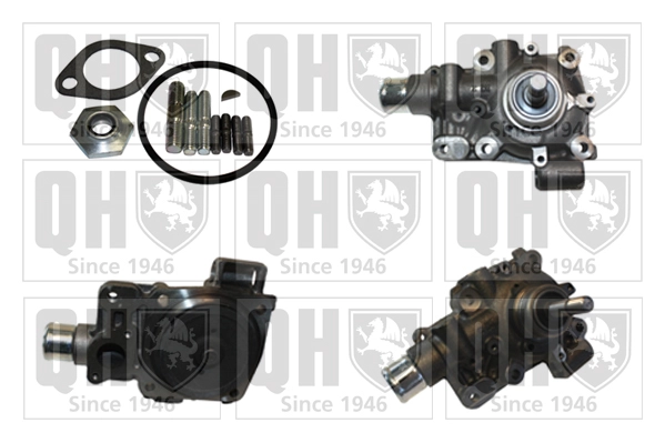 QCP3806