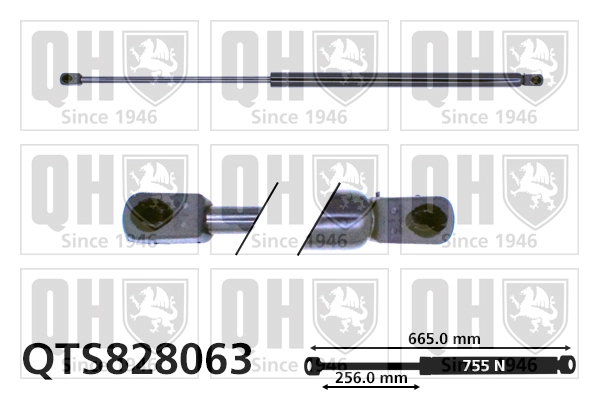 QTS828063