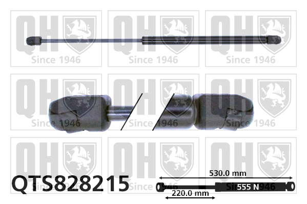 QTS828215