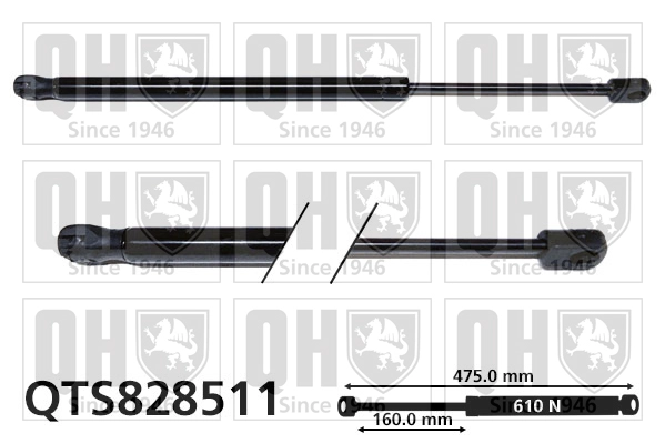 QTS828511