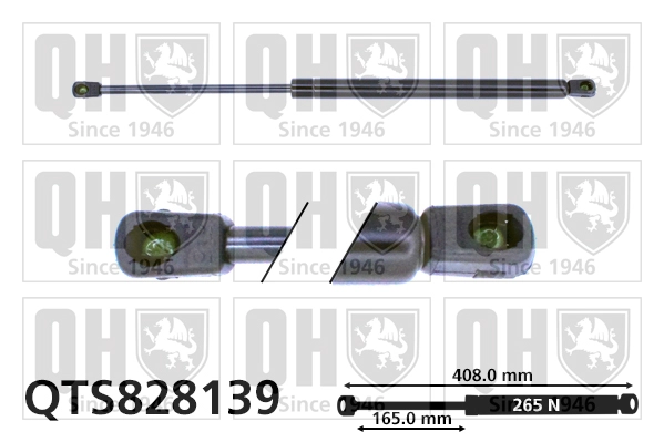 QTS828139