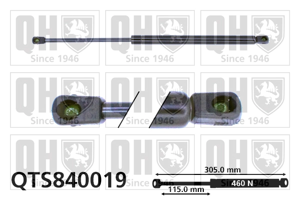 QTS840019