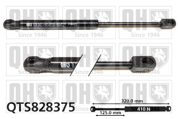 QTS828375