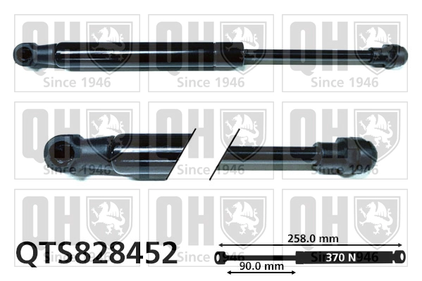 QTS828452