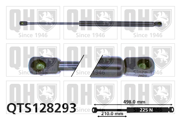 QTS128293