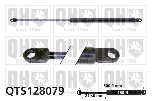 QTS128079