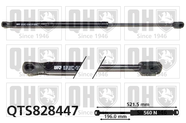 QTS828447