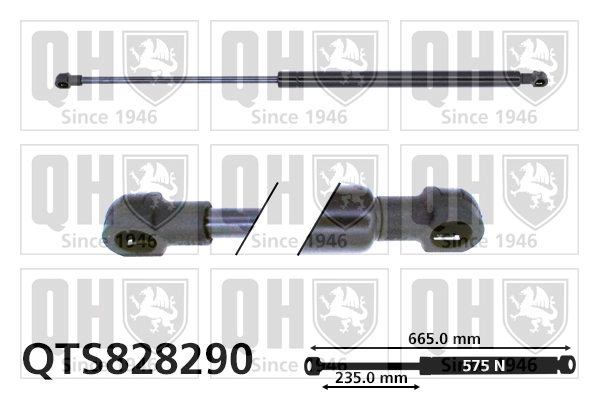QTS828290