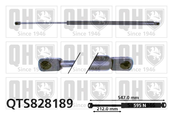 QTS828189