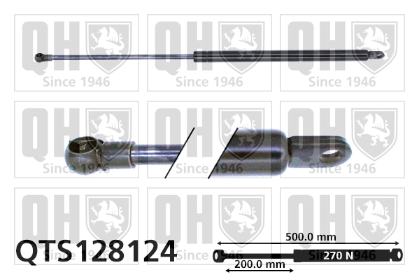 QTS128124