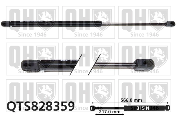 QTS828359
