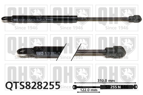 QTS828255