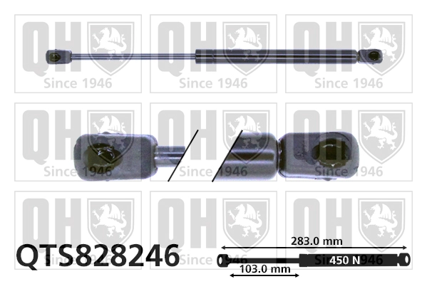 QTS828246