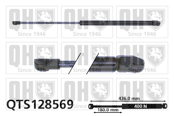 QTS128569
