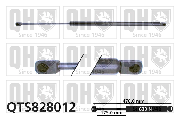 QTS828012