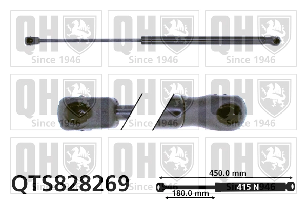 QTS828269