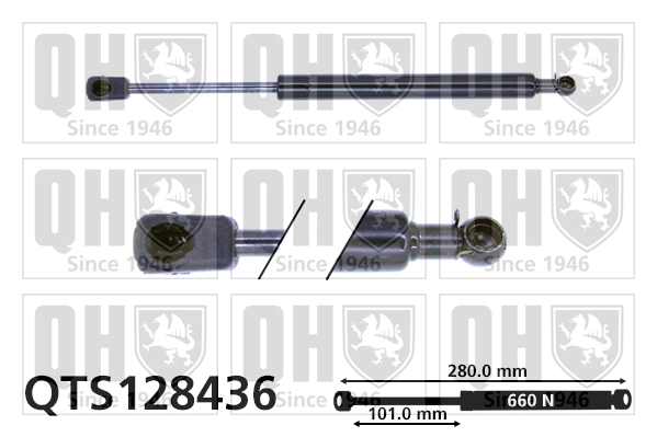 QTS128436