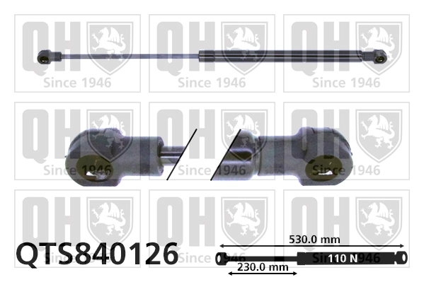 QTS840126