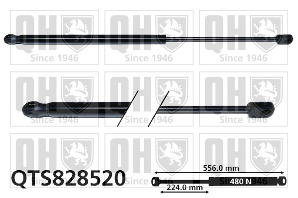 QTS828520
