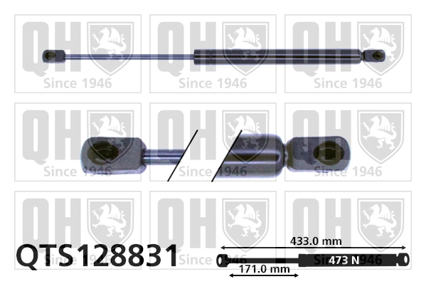 QTS128831