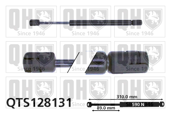 QTS128131