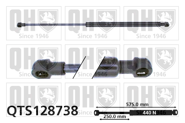 QTS128738