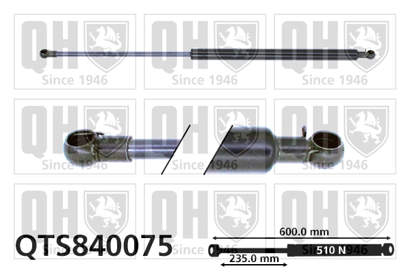 QTS840075