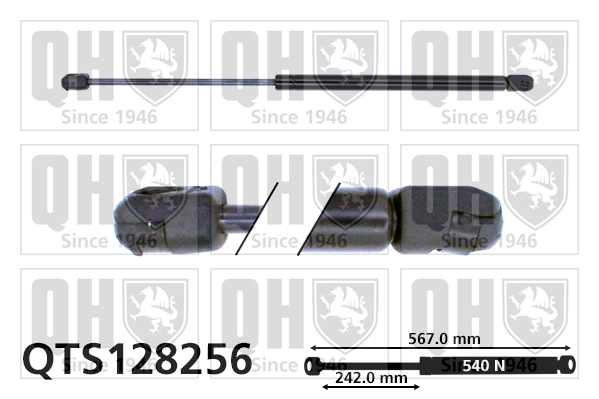 QTS128256