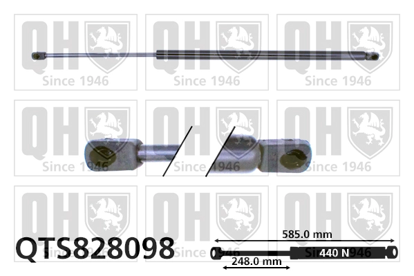 QTS828098