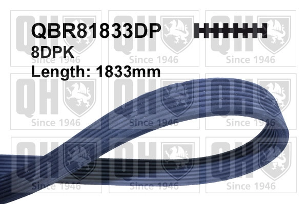 QBR81833DP