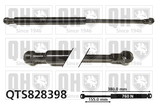 QTS828398